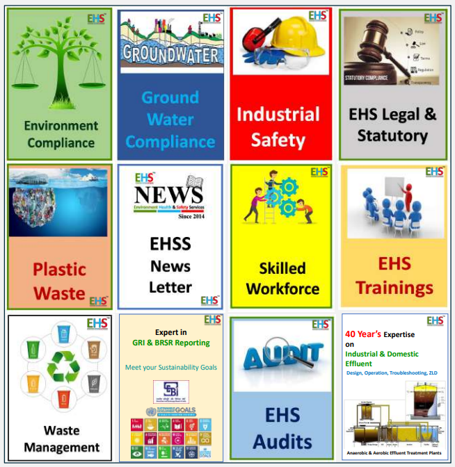 EHSS Logo